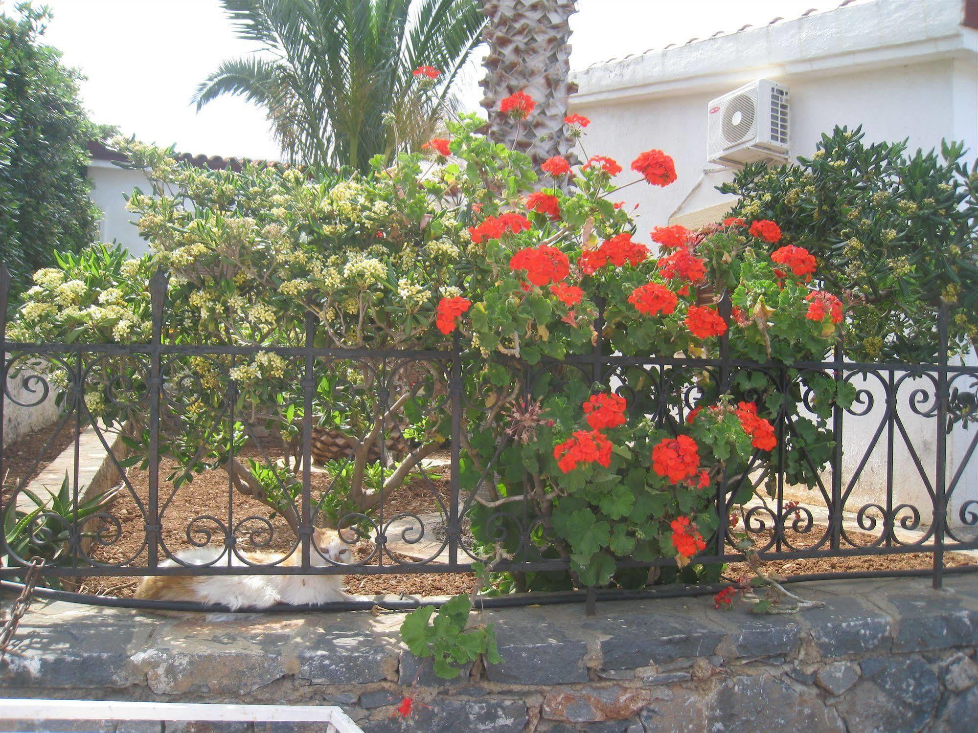 אלונדה Athina Villas מראה חיצוני תמונה